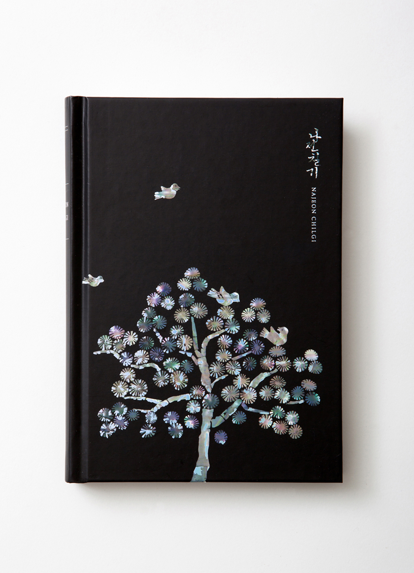 Mother-of-Pearl Diary by vergum