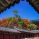 Changdeokgung Palace and Secret Garden