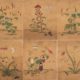 Korean Folk Art, Shin Saimdang, Cho-chung-do, Joseon Dynasty, Traditional Painting, Nature in Art, Korean Culture Art, Appreciation Asian Art, Versatile Artist